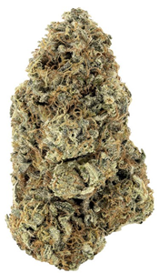 Woody Nelson: Rainbow Driver Craft (3.5g)