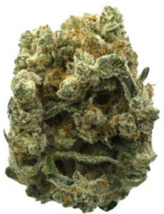 Color Cannabis: Ghost Train Haze (7g)