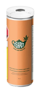 TeaPot: Good Day Mango Green Tea Beverage (355ml)