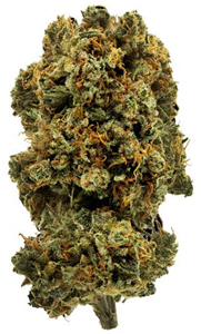 1964: Blue Dream (1g)