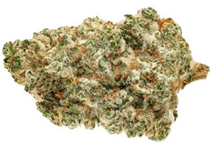 Pure Sunfarms: Kush God (28g)