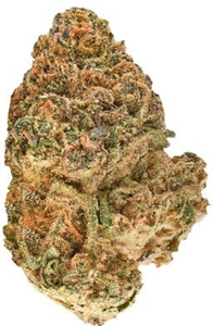 Redecan: Animal RNTZ (1g)