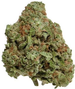 Color Cannabis: Blueberry Seagal (7g)